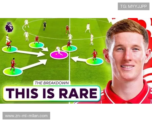 安德森或将引入更多数据型分析师助力决策，安德森分析模型四个