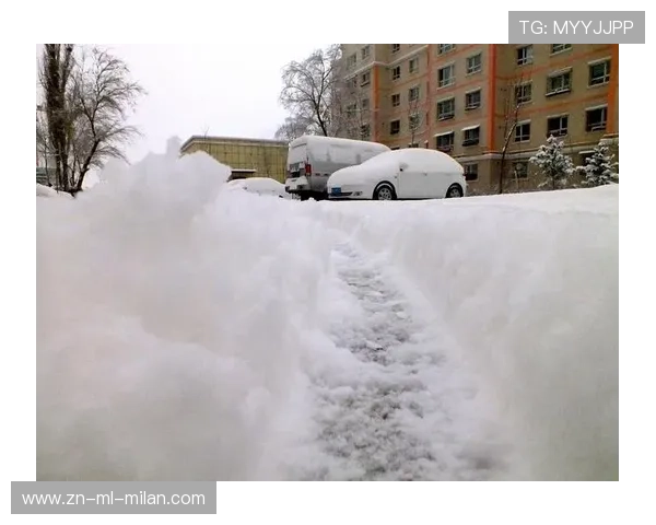 国际滑联与环保组织合作评估人工造雪对生态影响