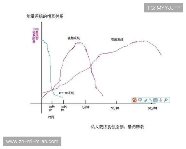 技术分析系统开始提供划水曲线与对称性评估